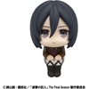 image:imageMegahouse  Attack on Titan  Mikasa Ackerman Lookup Figure