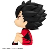 image:imageMegahouse  Haikyu  Kenma Cat Lookup Cape AccessoryTetsuro Kuroo Uniform Ver