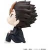 image:imageMegahouse  Haikyu  Kenma Cat Lookup Cape AccessoryYu Nishinoya