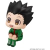 image:imageMegahouse  Hunter x Hunter  Gon Freecss Lookup Figure