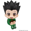 image:imageMegahouse  Hunter x Hunter  Gon Freecss Lookup Figure
