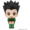 image:imageMegahouse  Hunter x Hunter  Gon Freecss Lookup Figure