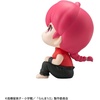 image:imageMegahouse  Ranma 12  Ranma Lookup Figure