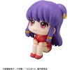 image:imageMegahouse  Ranma 12  Shampoo Lookup Figure