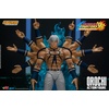 image:imageStorm Collectibles  King of Fighters 98  Orochi 112 Action Figure