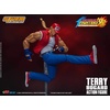image:imageStorm Collectibles  King of Fighters 98  Terry Bogard 112 Action Figure
