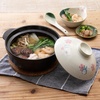 image:imageStudio Ghibli  My Neighbor Totoro  SakuraCherry Blossom Skater Traditional Japanese Porcelain Dish Series  Earthen PotEarthen Pot