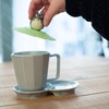 image:imageStudio Ghibli  My Neighbor Totoro  Totoro Benelic Silicon Cup CoverMy Neighbor Totoro  Totoro