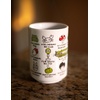 image:imageStudio Ghibli  My Neighbor Totoro  Totoro and Friends Benelic Porcelain Japanese Teacup