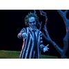 image:imageTAMASHII NATIONS  Beetlejuice  Beetlejuice SHFiguarts Action Figure