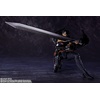 image:imageTAMASHII NATIONS  Berserk  Nosferatu Zodd SHFiguarts Action FigureGuts Berserker Armor