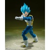 image:imageTAMASHII NATIONS  Dragon Ball Super  Goku Black Super Saiyan Rose Reissue SHFiguarts Action FigureSsgss Vegeta Unwavering Saiyan Pride