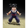 image:imageTAMASHII NATIONS  Dragon Ball Z  Son Gohan lt ZFighters gt Limited Edition lt ZFighters gt Group Base ver A SHFiguarts Action Figure