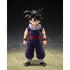 image:imageTAMASHII NATIONS  Dragon Ball Z  Son Gohan lt ZFighters gt Limited Edition lt ZFighters gt Group Base ver A SHFiguarts Action Figure