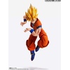 image:imageTAMASHII NATIONS  Dragon Ball Z  Son Goku Bandai Spirits Imagination Works Action Figure