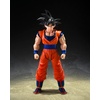 image:imageTAMASHII NATIONS  Dragon Ball Z  Super Saiyan Vegeta Dangerous Pride SHFiguarts Action FigureSon Goku the Kindhearted Saiyan