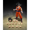 image:imageTAMASHII NATIONS  Dragon Ball Z  Super Saiyan Vegeta Dangerous Pride SHFiguarts Action FigureSon Goku the Kindhearted Saiyan