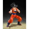 image:imageTAMASHII NATIONS  Dragon Ball Z  Super Saiyan Vegeta Dangerous Pride SHFiguarts Action FigureSon Goku the Kindhearted Saiyan