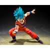 image:imageTAMASHII NATIONS  Dragon Ball Z  Super Saiyan Vegeta Dangerous Pride SHFiguarts Action FigureSuper Saiyan God Super Saiyan Son Goku Blue Power Transcending Limits
