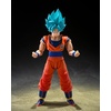 image:imageTAMASHII NATIONS  Dragon Ball Z  Super Saiyan Vegeta Dangerous Pride SHFiguarts Action FigureSuper Saiyan God Super Saiyan Son Goku Blue Power Transcending Limits