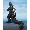 image:imageTAMASHII NATIONS  Godzilla  Godzilla 1975 SHMonsterarts Action Figure