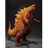image:imageTAMASHII NATIONS  Godzilla King of the Monsters  Burning Godzilla 2019 Bandai Spirits SHMonsterArts Action Figure