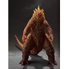 image:imageTAMASHII NATIONS  Godzilla King of the Monsters  Burning Godzilla 2019 Bandai Spirits SHMonsterArts Action Figure