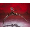 image:imageTAMASHII NATIONS  Godzilla SP  Rodan 2021 The Second Form Bandai Spirits SHMonsterArts Action Figure