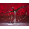 image:imageTAMASHII NATIONS  Godzilla SP  Rodan 2021 The Second Form Bandai Spirits SHMonsterArts Action Figure