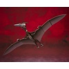 image:imageTAMASHII NATIONS  Godzilla SP  Rodan 2021 The Second Form Bandai Spirits SHMonsterArts Action Figure