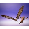 image:imageTAMASHII NATIONS  Godzilla x Kong The New Empire  Suko amp Mothra from Godzilla x Kong The New Empire 2024 SHMonsterArts Action FigureSuko  Mothra