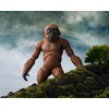 image:imageTAMASHII NATIONS  Godzilla x Kong The New Empire  Suko amp Mothra from Godzilla x Kong The New Empire 2024 SHMonsterArts Action FigureSuko  Mothra