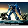 image:imageTAMASHII NATIONS  Gundam  MS07 B Gouf ver ANIME Reissue Bandai Spirits The Robot Spirits Figure