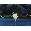 image:imageTAMASHII NATIONS  Harry Potter and The Goblet of Fire  Voldemort SHFiguarts Action FigureHarry Potter