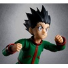 image:imageTAMASHII NATIONS  Hunter x Hunter  Gon amp Killua The Hunter Exam Option Parts Set SHFiguarts Action FigureHyskoa