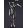 image:imageTAMASHII NATIONS  Kaiju No 8  Kaiju No 9 SHFiguarts Action FigureKaiju No 9