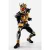 image:imageTAMASHII NATIONS  Kamen Rider Agito  Masked Rider Agito Grand Form 25th Anniversary Ver Shinkocchou Seihou SHFiguarts Action Figure