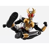 image:imageTAMASHII NATIONS  Kamen Rider Agito  Masked Rider Agito Grand Form 25th Anniversary Ver Shinkocchou Seihou SHFiguarts Action Figure