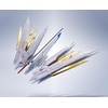 image:imageTAMASHII NATIONS  Mobile Suit Gundam Seed Freedom  Proud Defender amp Effect Parts Set Metal Robot Spirits Figure