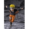 image:imageTAMASHII NATIONS  Naruto  Hinata Hyuga Virtuous Byakugan SHFiguarts Action FigureNaruto Uzumaki the Power to Unite