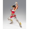 image:imageTAMASHII NATIONS  Saint Seiya  Pegasus Seiya First Bronze Cloth Saint Cloth Myth Ex Action Figure