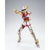 image:imageTAMASHII NATIONS  Saint Seiya  Saint Cloth Myth Pegasus Seiya First Bronze Cloth Saint Cloth Myth Action Figure