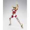image:imageTAMASHII NATIONS  Saint Seiya  Saint Cloth Myth Pegasus Seiya First Bronze Cloth Saint Cloth Myth Action Figure