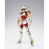 image:imageTAMASHII NATIONS  Saint Seiya  Saint Cloth Myth Pegasus Seiya First Bronze Cloth Saint Cloth Myth Action Figure