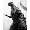image:imageTAMASHII NATIONS  Shin Godzilla  Godzilla 2016 The Fourth Awakening Ver Movie Graphic Plus SHMonsterArts Action FigureGodzilla 2016 the Fourth Orthochromatic Ver