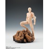 image:imageTAMASHII NATIONS  Smoke Burst ver for SHFiguarts Tamashii EffectRock Beige Ver