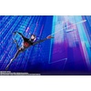 image:imageTAMASHII NATIONS  SpiderMan Across The SpiderVerse  SpiderMan India SHFiguarts Action FigureSpiderman Miles Morales