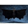 image:imageTAMASHII NATIONS  The Flash  Batman Bandai Spirits SHFiguarts Action Figure