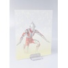 image:imageTAMASHII NATIONS  Ultra Seven  Ultra Seven Reissue Bandai Spirits SHFiguarts Action FigureUltraman Reissue