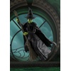 image:imageTAMASHII NATIONS  Wicked  Glinda SHFiguarts Action FigureElphaba
